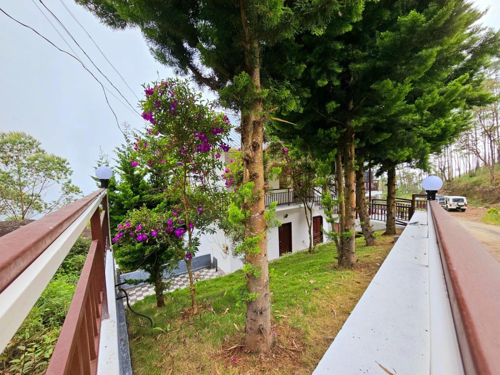 DevikolamRock And Mist Munnar住宿加早餐旅馆 外观 照片